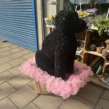 Xl, oversized, large, big, dog, sitting, hound, traveller, gypsy, Funeral, sympathy, wreath, tribute, flowers, florist, gravesend, Northfleet, Kent, London