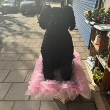 Xl, oversized, large, big, dog, sitting, hound, traveller, gypsy, Funeral, sympathy, wreath, tribute, flowers, florist, gravesend, Northfleet, Kent, London